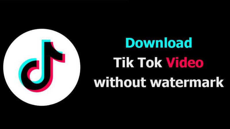 DownTik Download Video TikTok