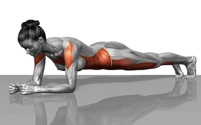tap plank